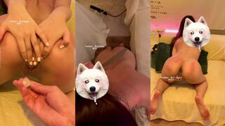 官人猎艳的231号小母狗